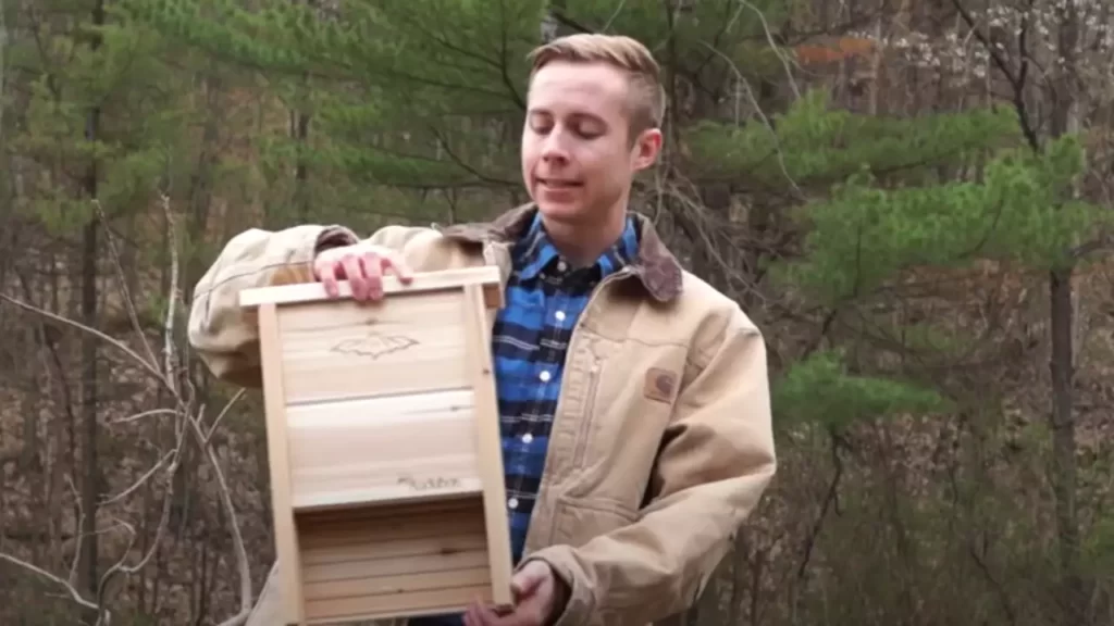 Preparing The Bat Box Assembly