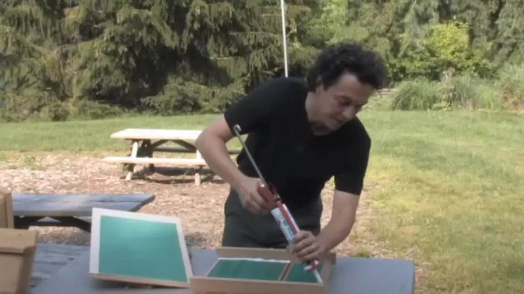 Installing The Bat Box On A Tree